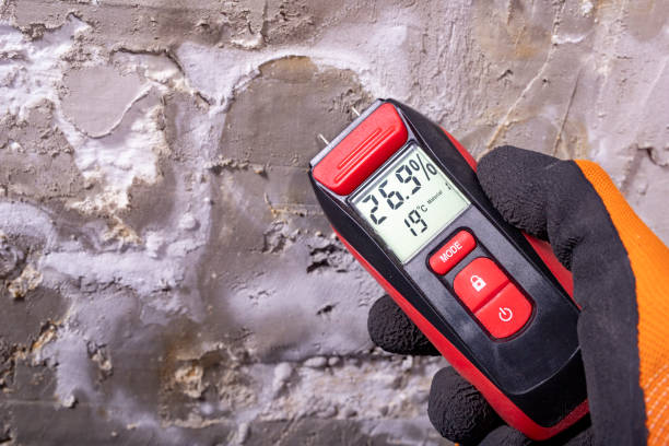 Trusted Bloomfield, NM Mold Removal Experts