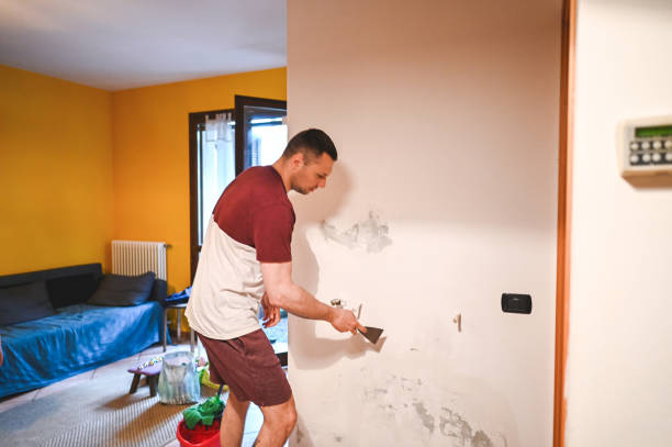 Mold Removal Process in Bloomfield, NM